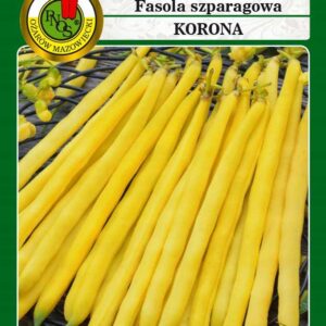 Fasola żółta karłowa KORONA 50g
