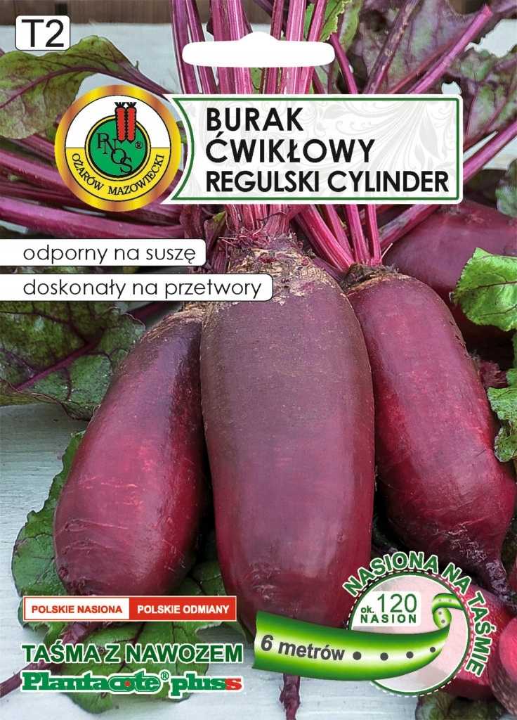 Nasiona na taśmie burak Regulski cylinder z naw 6m