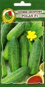 Ogórek gruntowy Polan F1 3g