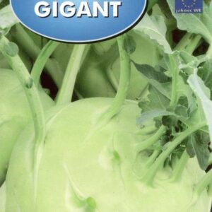 Kalarepa gigant 2g