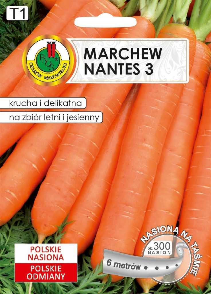 Nasiona na taśmie MARCHEW NANTES 6m