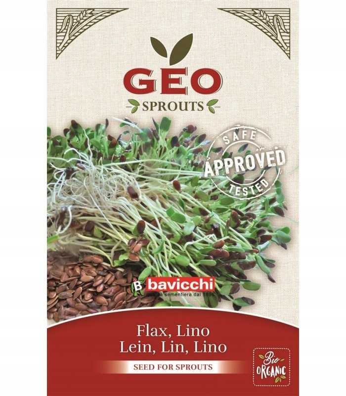 LEN - NASIONA NA KIEŁKI GEO 80G BAVICCHI
