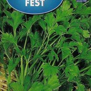 Pietruszka naciowa FEST 2 g