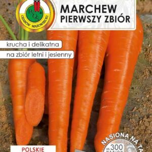 Nasiona na taśmie Marchew jadalna pierwszy zbió 6m