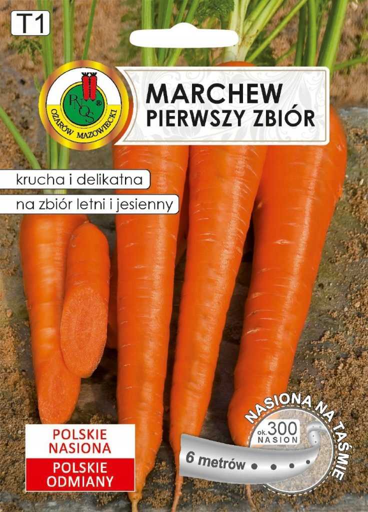 Nasiona na taśmie Marchew jadalna pierwszy zbió 6m