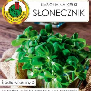 SŁONECZNIK nasiona na kiełki 40g
