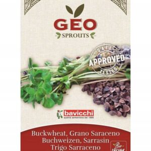 GRYKA - NASIONA NA KIEŁKI 90G BAVICCHI