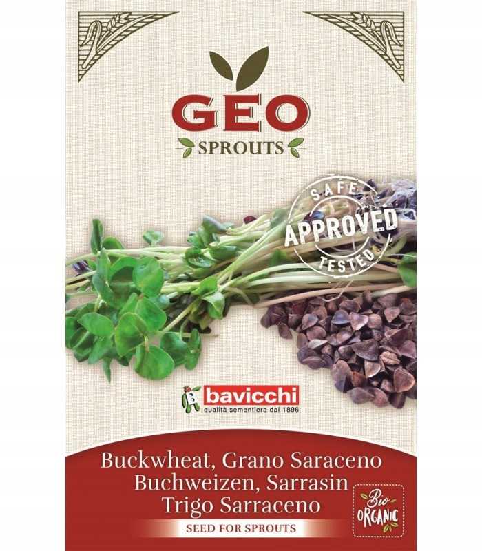 GRYKA - NASIONA NA KIEŁKI 90G BAVICCHI