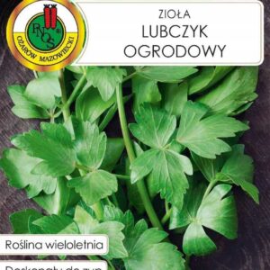 Lubczyk ogrodowy nasiona 1 g