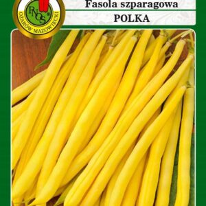 Fasola żółta karłowa POLKA 50g