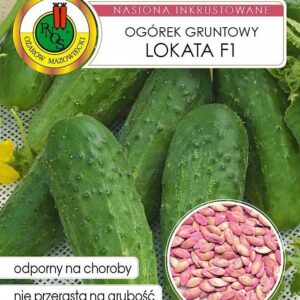 Nasiona na taśmie Ogórek Lokata 6m zaprawiane