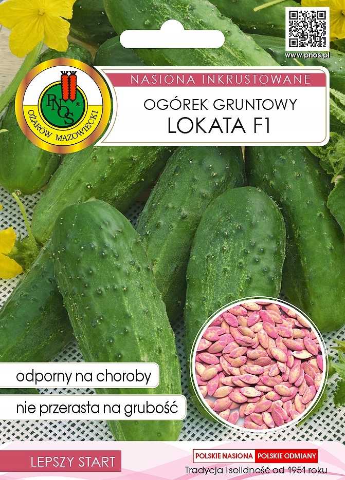 Nasiona na taśmie Ogórek Lokata 6m zaprawiane