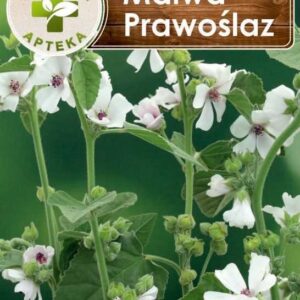 Malwa prawoślaz nasiona 0,5 g