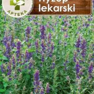 Hyzop lekarski nasiona 0,2 g