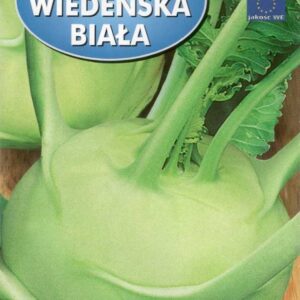 Kalarepa Wiedeńska BIała 2g