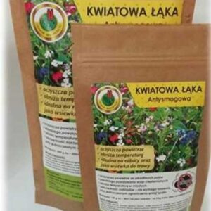 Kwiatowa łąka nasiona 5 kg