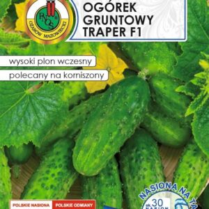 Nasiona na taśmie ogórek TRAPER z hydrożelem 6m