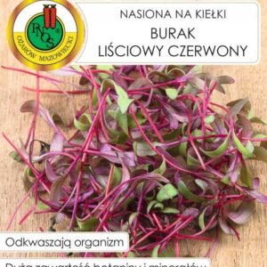 BURAK LIŚCIOWY CZERWONY nasiona na kiełki 10g
