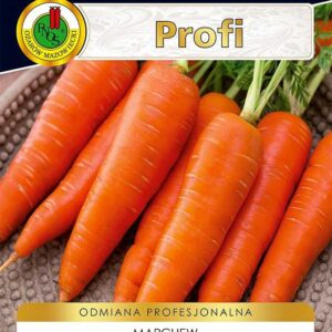 Nasiona marchew KAROTAN 2g profesjonalne