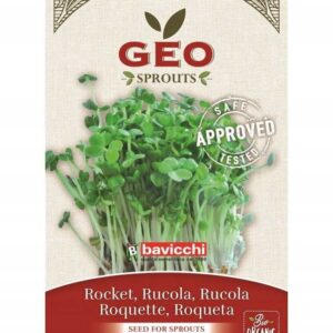 RUKOLA - NASIONA NA KIEŁKI 30G BAVICCHI