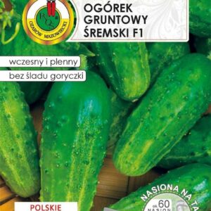 Nasiona na taśmie Ogórek śremski 6m