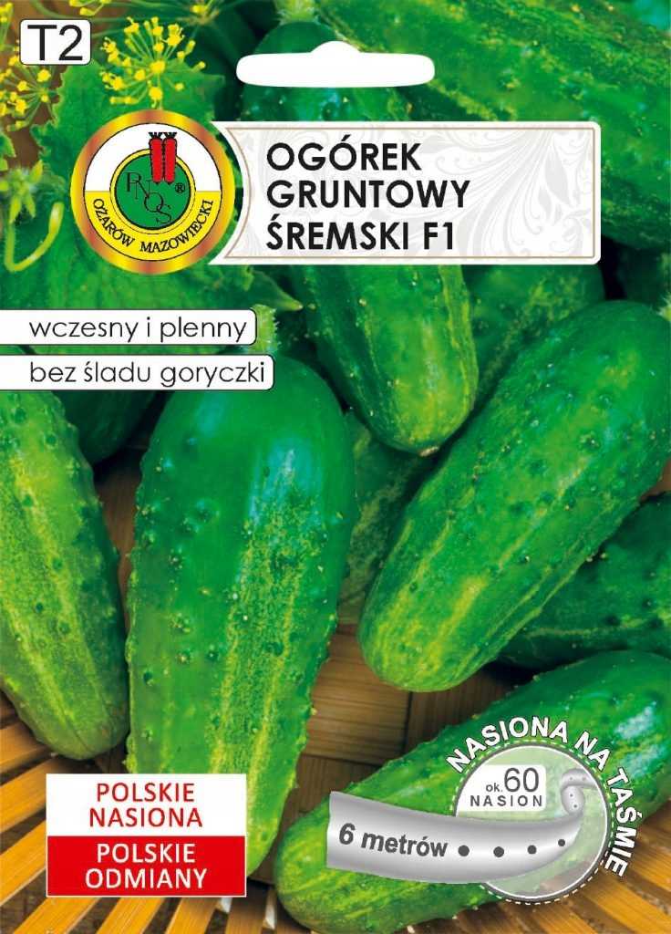 Nasiona na taśmie Ogórek śremski 6m