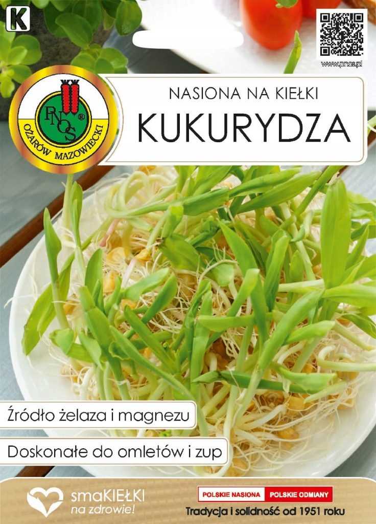 KUKURYDZA nasiona na kiełki 40g