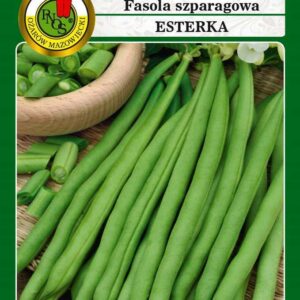 Fasola zielona karłowa ESTERKA 50g