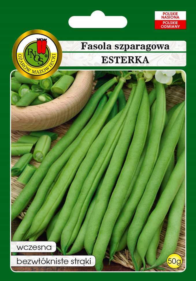 Fasola zielona karłowa ESTERKA 50g