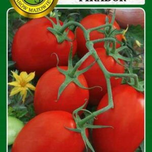 Nasiona pomidor gruntowy Pikador 1 g