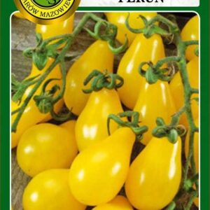 Nasiona pomidor gruntowy Perun 0,5 g