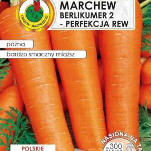 Nasiona na taśmie MARCHEW Berlikumer Perfekcja 6m
