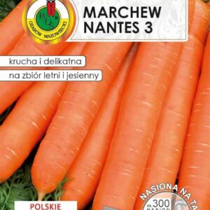 Nasiona na taśmie MARCHEW NANTES 6m