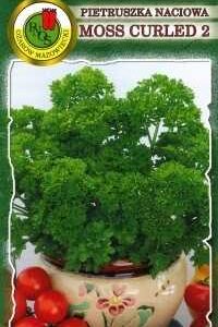 Pietruszka naciowa Moss Curled 50g