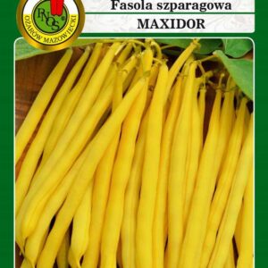 Fasola żółta karłowa MAXIDOR 30g