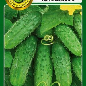 Ogórek gruntowy Anulka F1 2g