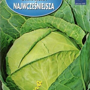 Kapusta głowiasta biała Ditmarska wczesna 2g