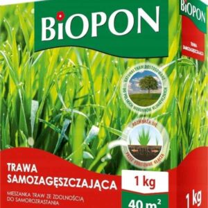 Nasiona trawy gazonowej SAMOZAGĘSZCZAJĄCEJ - 1kg