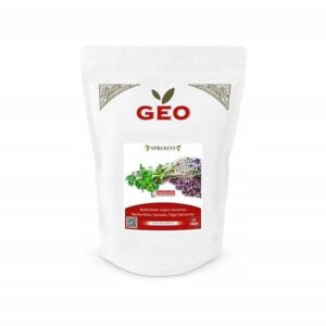 GRYKA - NASIONA NA KIEŁKI 500G BAVICCHI