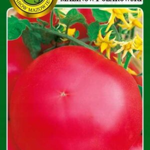 Nasiona pomidor gruntowy Malinowy Ożarowski 1 g