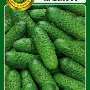 Ogórek gruntowy Andrus F1 5g