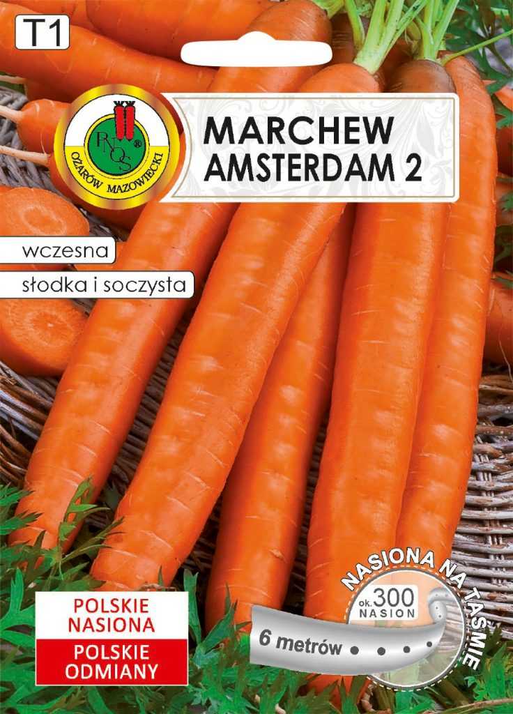 Nasiona na taśmie MARCHEW AMSTERDAM 6m