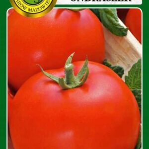 Nasiona pomidor gruntowy Ondraszek 1 g