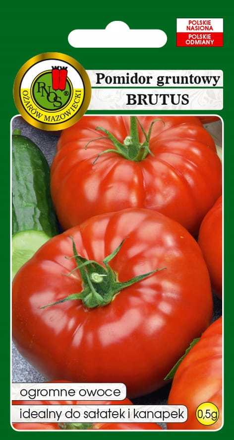 Nasiona pomidor gruntowy Brutus 0,5 g