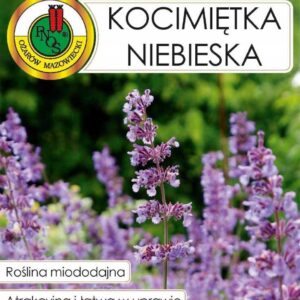 Nasiona miododajne KOCIMIĘTKA NIEBIESKA 0,5g