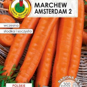 Nasiona na taśmie MARCHEW AMSTERDAM 6m