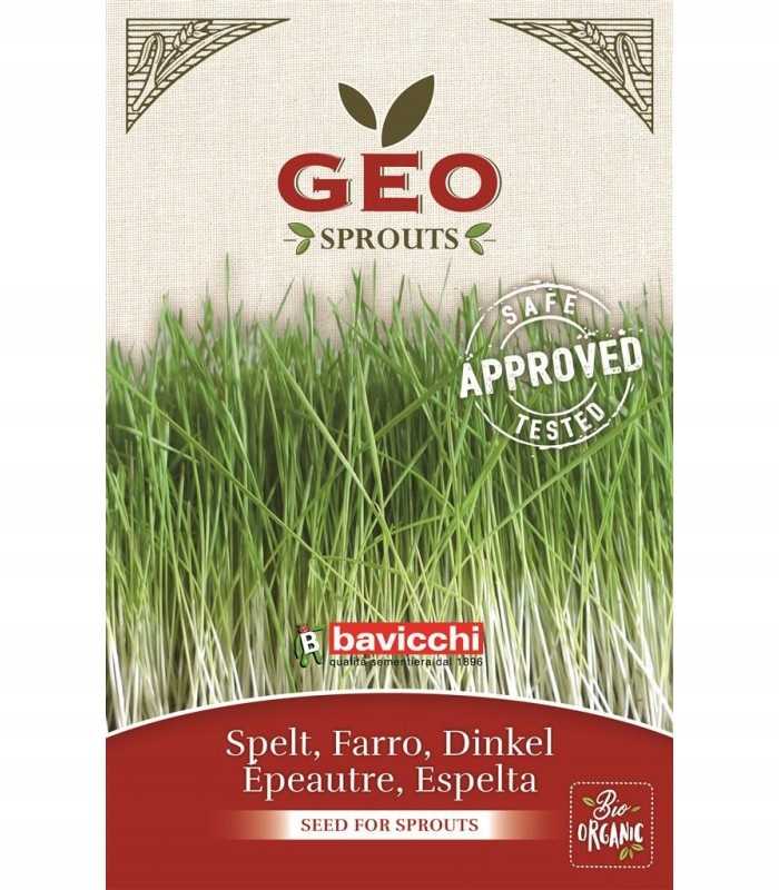 ORKISZ - NASIONA NA KIEŁKI 80G BAVICCHI