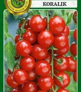 Nasiona pomidor gruntowy Koralik 1 g