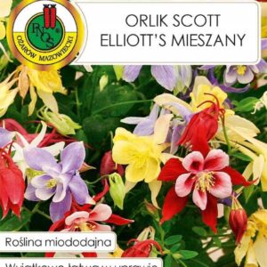 Nasiona miododajne ORLIK SCOTT 1,5g