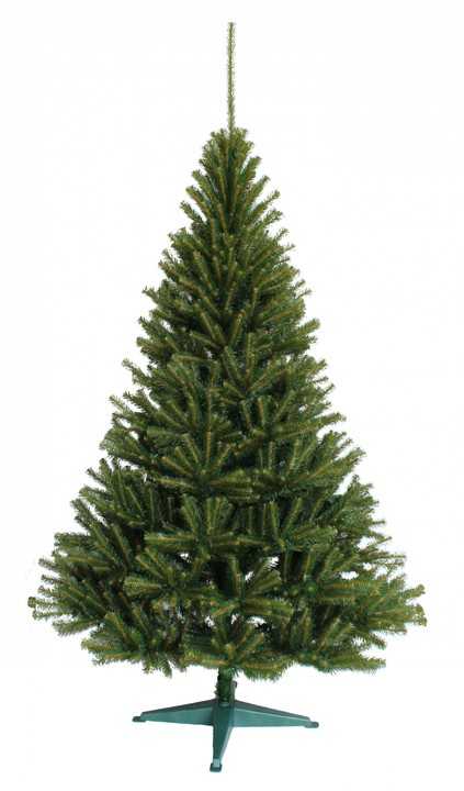 Choinka sztuczna ŚWIERK SKANDYNAWSKI natura 180cm - obrazek 2